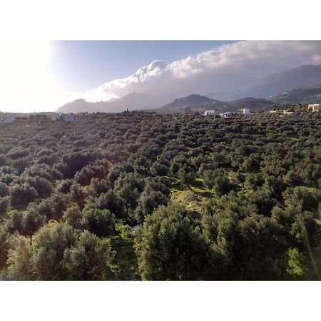 דמנוני Natural Green Apartment מראה חיצוני תמונה