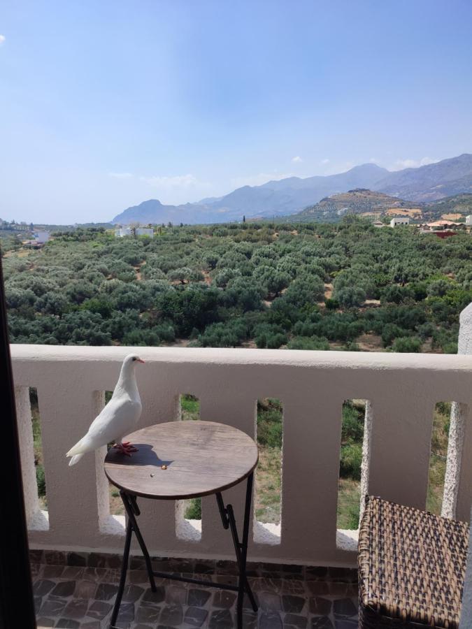 דמנוני Natural Green Apartment מראה חיצוני תמונה