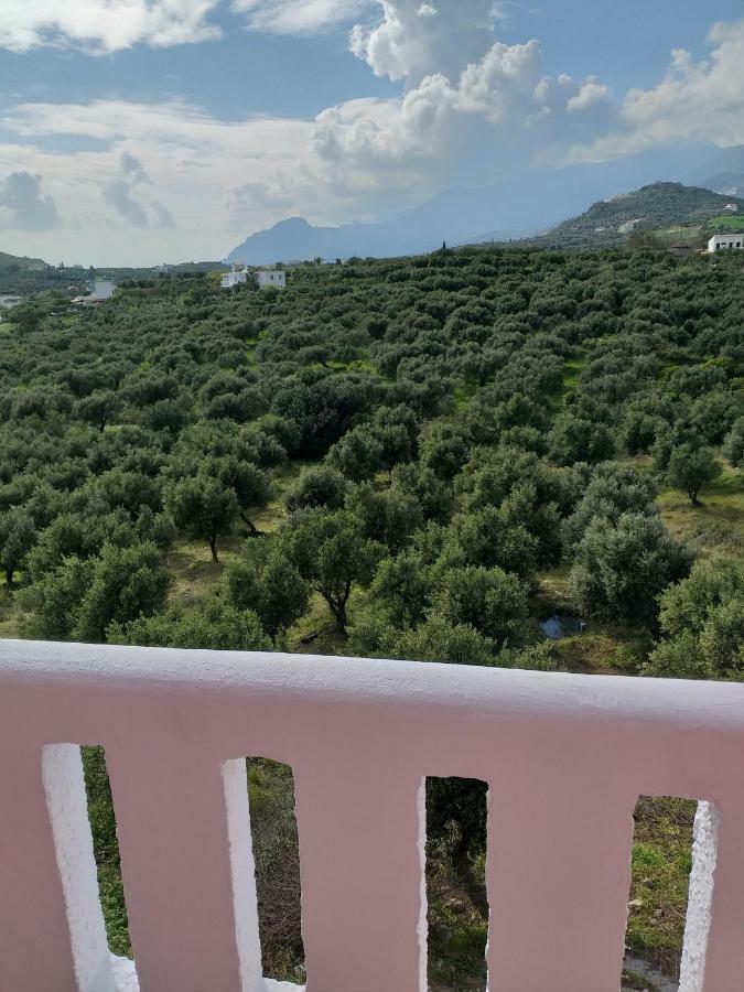 דמנוני Natural Green Apartment מראה חיצוני תמונה